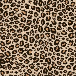 Meet your Posher, Taryn